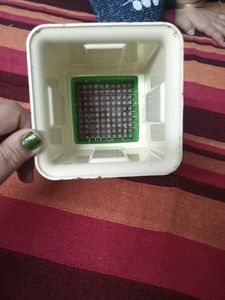 Vegetable Chopper In New Condition