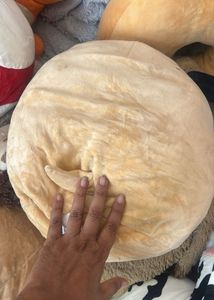 Squishmallow Original Kellytoy Pug The Prince 13"
