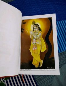 Shrimad Bhagavad Gita Book (Hindi)