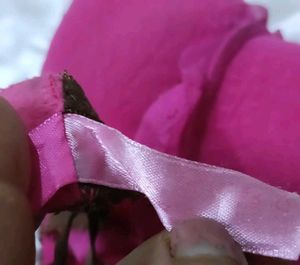 Pink Padded Bra with Lace