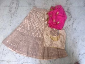 Designer Lehenga Choli Set