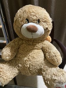 Teddy For Your Little Babies