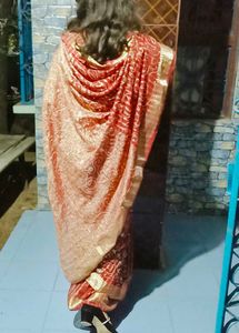 Red and Gold Saree