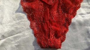 Sheer Lace Red Briefs