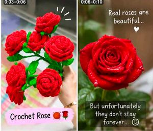 Handmade Crochet Red Roses