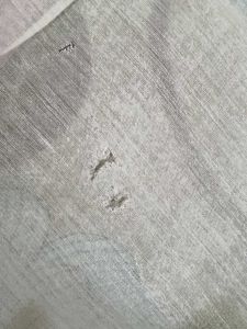 Salwar Suit