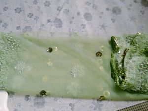 Green Embellished Net Dupatta
