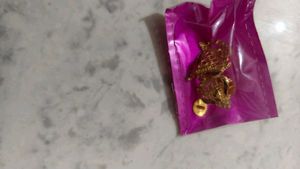 Exquisite Gold Earrings