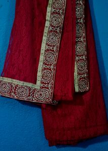 Net Saree Embroider