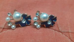 Blue Cute Earrings