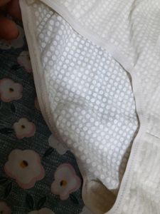 Conybio Pantys (M)