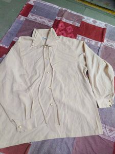 Classic Beige Button-Up Blouse