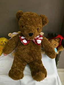 Cute Brown Teddy Bear