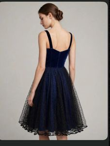 Elegant Velvet &amp; Tulle Dress