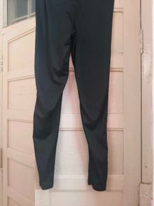 solid women Black tights