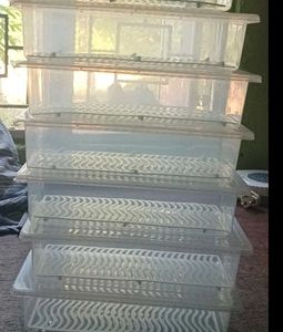Fridge Storage Boxes pack of 6 Box