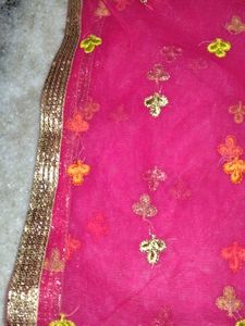 Pink Embroidered Dupatta set of 2