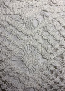 Trendy crochet Lace Crop Top