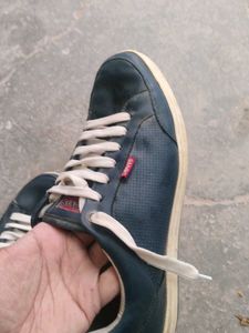 Levis Shoes Casual/Formal