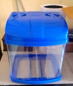 Mini Aquarium Fish Tank ( new blue colour)