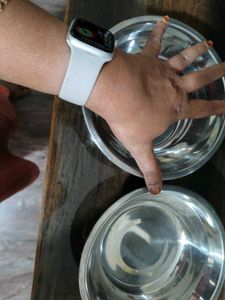 Set of 2 Stainless Steel dog  Bowls