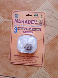 Rudraksha 3 Mukhi Original Lab Taste