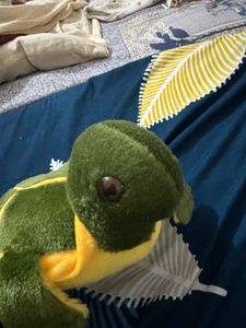 Cute Plush Turtle
