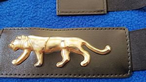 Black  Belt / Gold Cat
