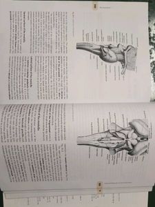 Manual of Practical Anatomy