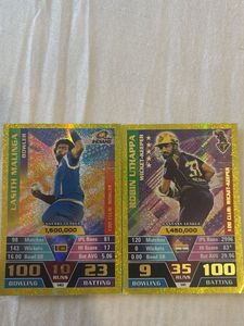 Cricket Fantasy League Cards
