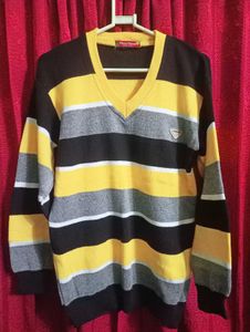Brand New V-Neck Sweater