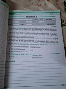 English Coursebook &amp; Assignments for Class 6