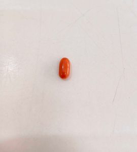 Oval Orange pink Coral Gemstone