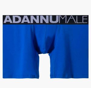 Blue Boxer Briefs with Logo Waistband