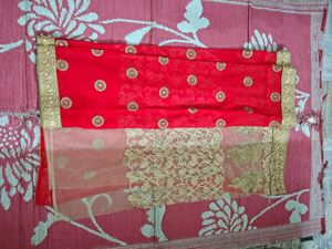 Red Saree with Golden Embellishments