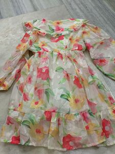 Floral Organza Mini Dress