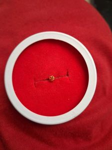 Dainty Gold star nosepin