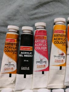 15 Camel Colour, Acrylic Paint &amp; Varnish