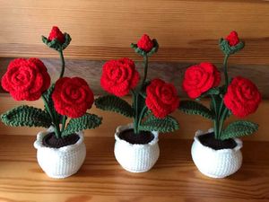 Crochet Potted Rose Mini Flowers 🌹