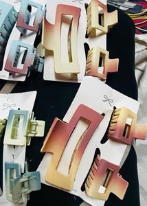 claw clip set of 2