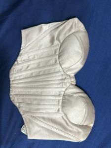 Zara champagneWhite Padded Corset