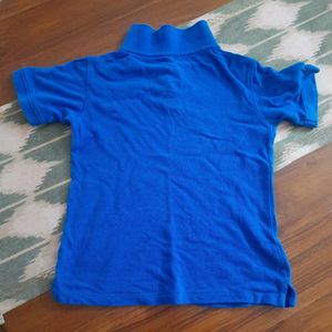 Berry Tree Beautiful One Time Wear Kids Tshirt
