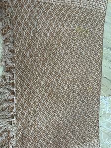 Faux furrry muddy color shawl