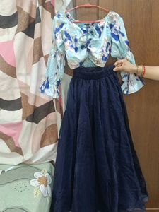 Navy Blue Skirt