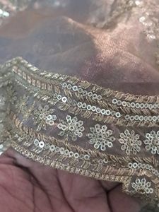 Embellished Saree Choli Set
