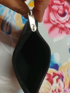 Pouch