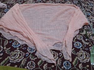 Sheer Pleated Bolero Shrug