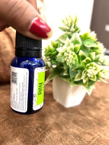 Rey Tea Tree Essential Oil