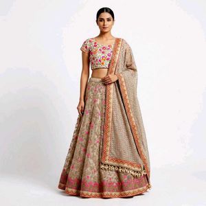 Elegant Lehenga Choli