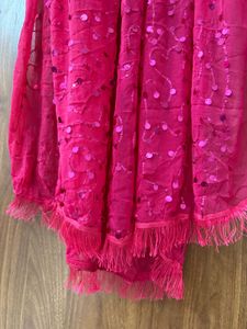 Gorgeous Pink Sequined Dupatta